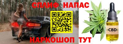 мдпв Будённовск