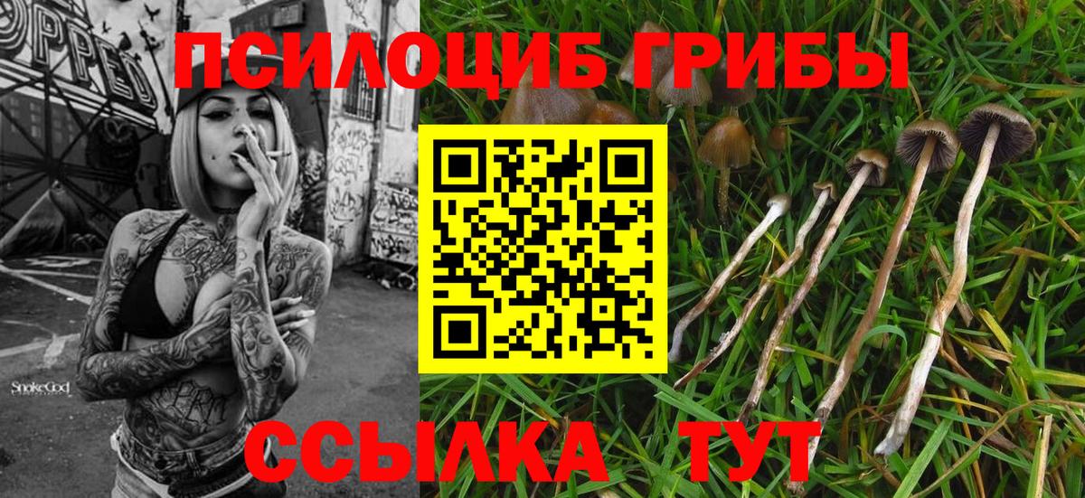 Геленджик  Галлюциногенные грибы Magic Shrooms  Вход с VPN 