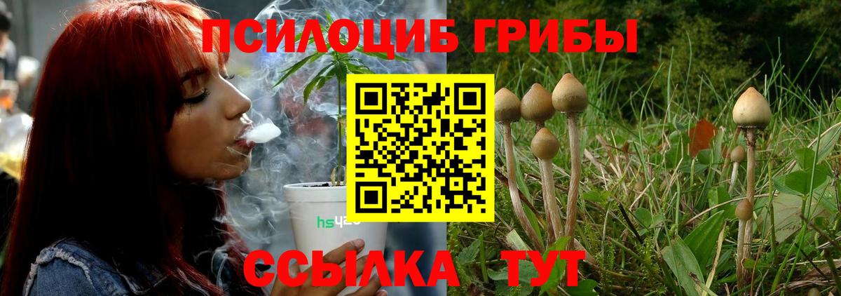 Галлюциногенные грибы Magic Shrooms Геленджик
